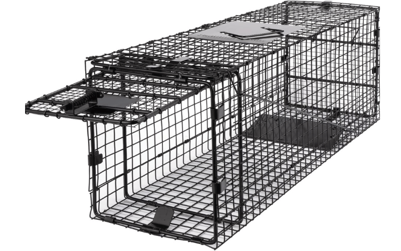 Humane Live Trap Cages for Raccoon Removal